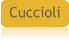 Cuccioli